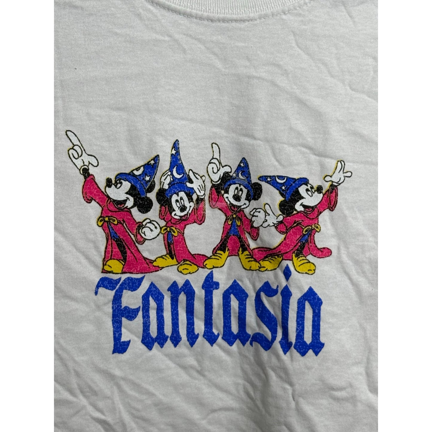 NWOT Disney fantasia crop top